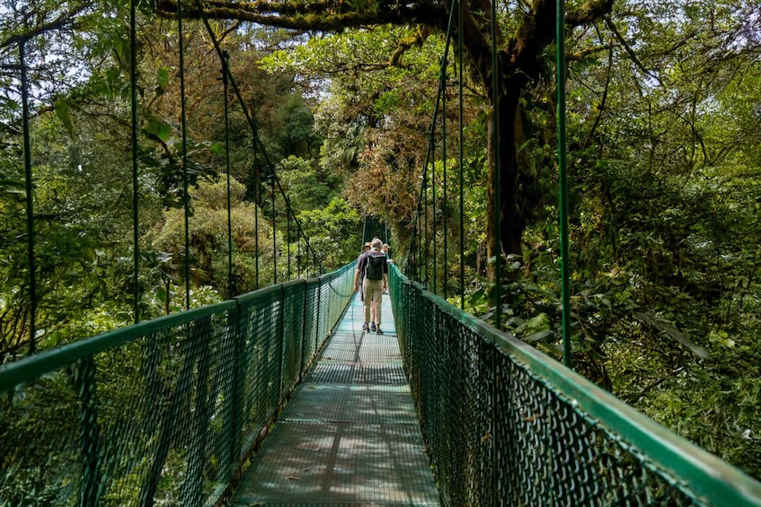Una persona che cammina su un ponte sospeso, circondata da una fitta foresta. 2