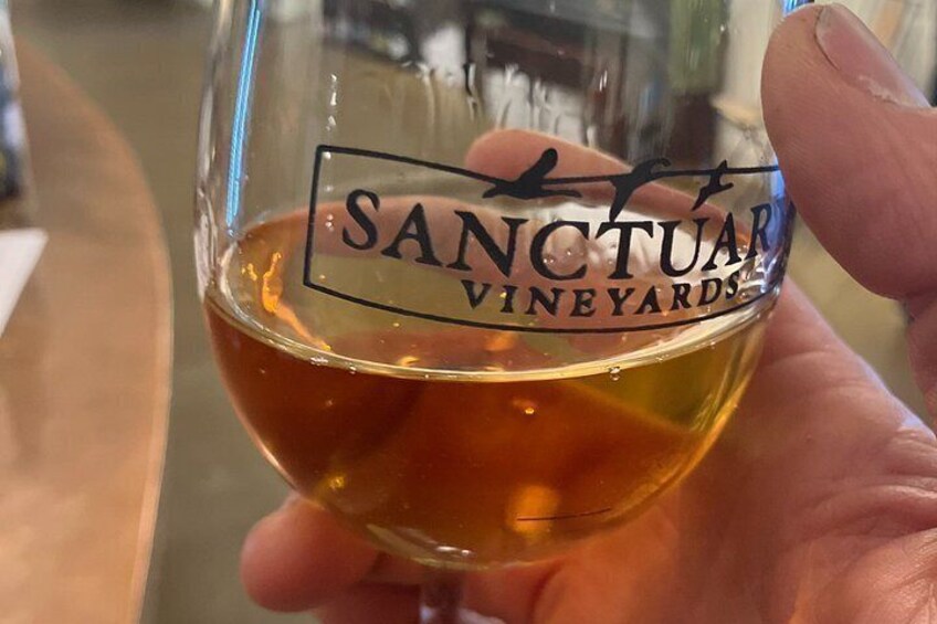 Una mano sosteniendo una copa de vino con la inscripción 'SANCTUAR VINEYARDS'. 2