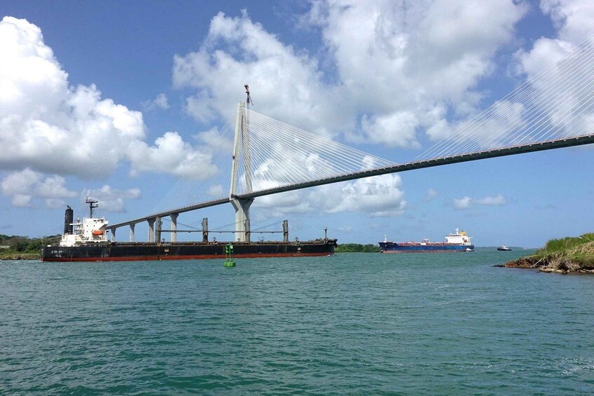Picture 15 for Activity Panama Canal Tour: New Locks Agua Clara & Gatun Center 5