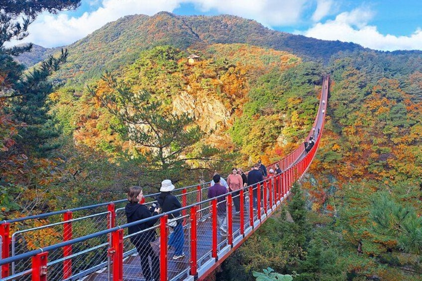 DMZ Guided tour from Seoul with Suspension Bridge or Gondola 3