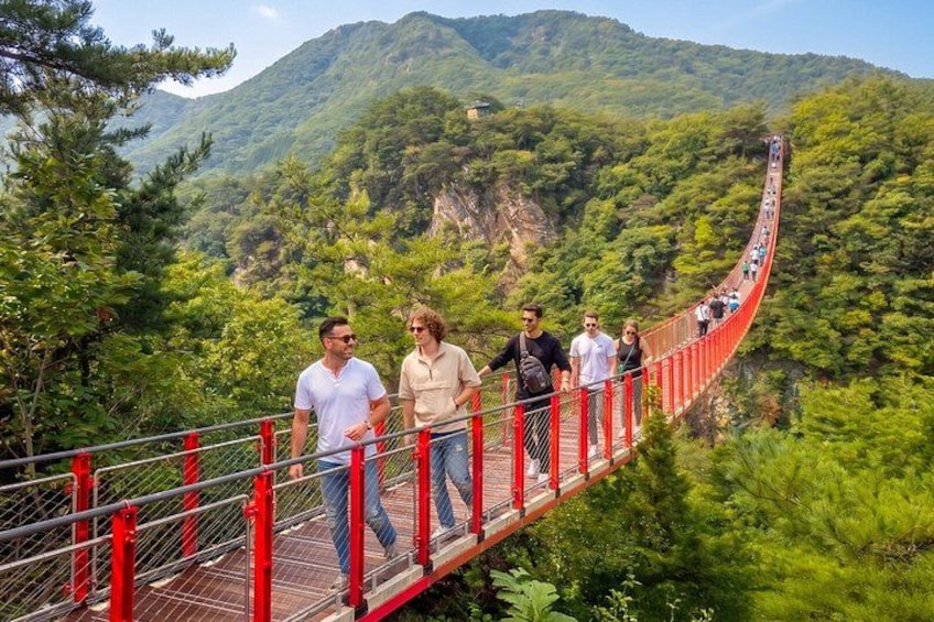DMZ Guided tour from Seoul with Suspension Bridge or Gondola 2