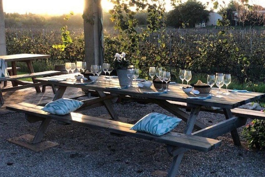 Guided tour of Butxet winery 4