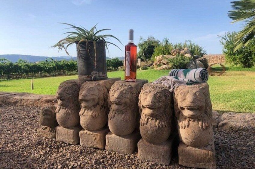 Guided tour of Butxet winery 2