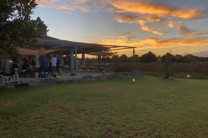 Guided tour of Butxet winery 5