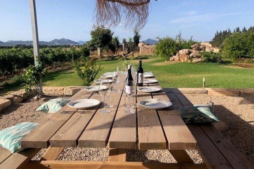 Guided tour of Butxet winery 1