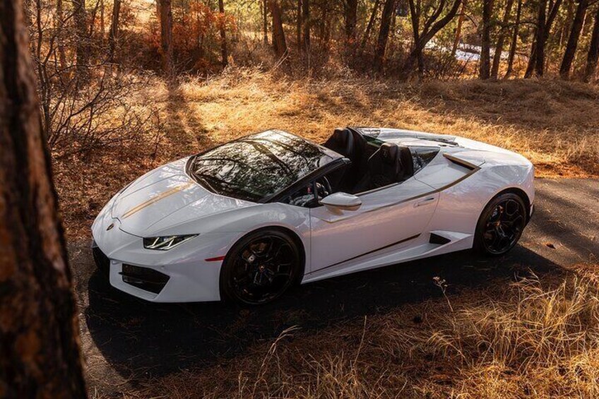 A white sports car parked on a forest road. 5