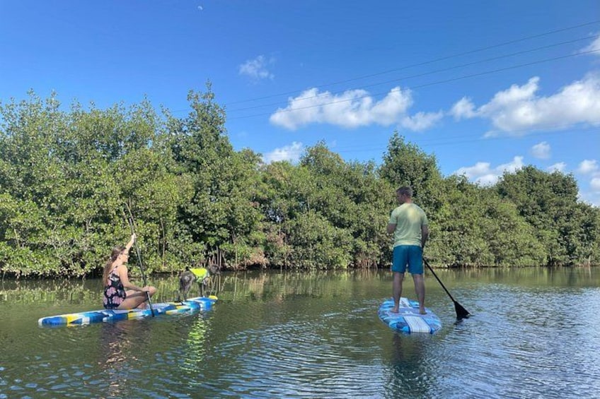 Two people paddleboarding on a calm river surrounded by dense greenery. 5