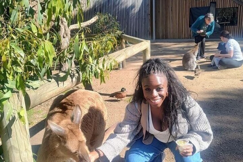 A person sitting on the ground with a goat in a fenced area with trees and a wooden structure in the background. 2