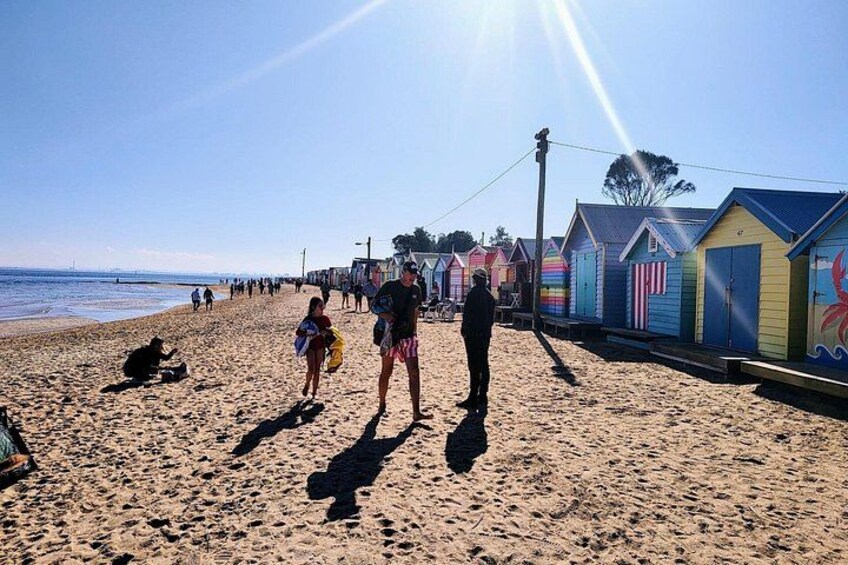 Moonlit Sanctuary and Brighton Beach Boxes Half Day Tour 2