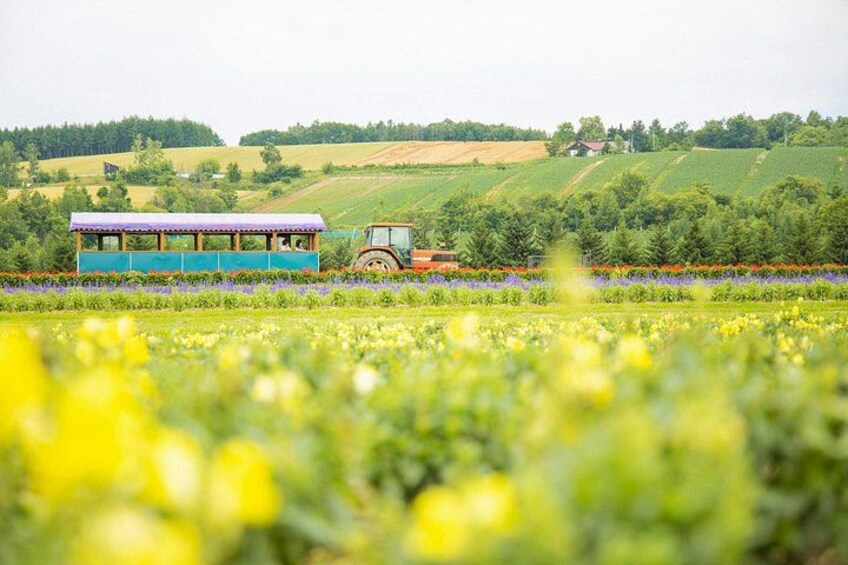 A rural landscape with a blue and yellow train, a tractor, and a house in the background. 1