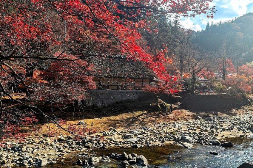 Nagoya: all-inclusive car tour to Korankei valley 2