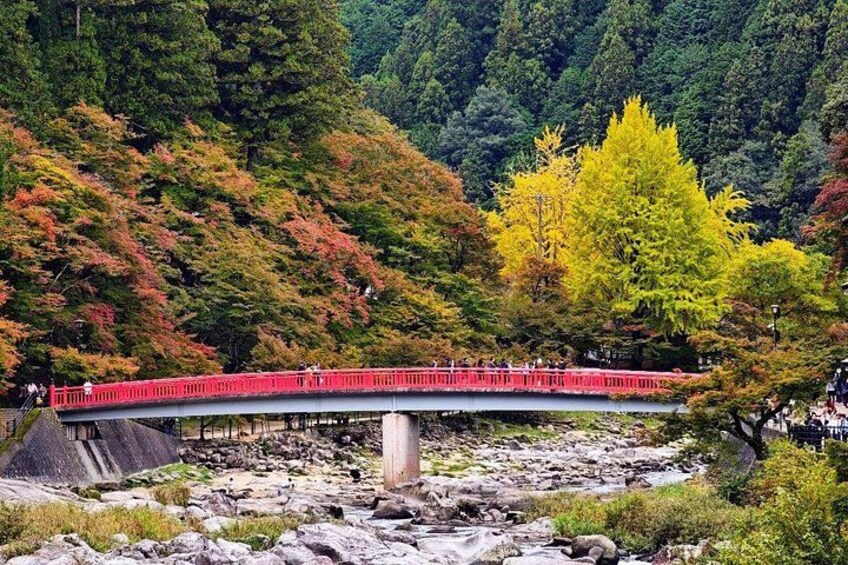 Nagoya: all-inclusive car tour to Korankei valley 4