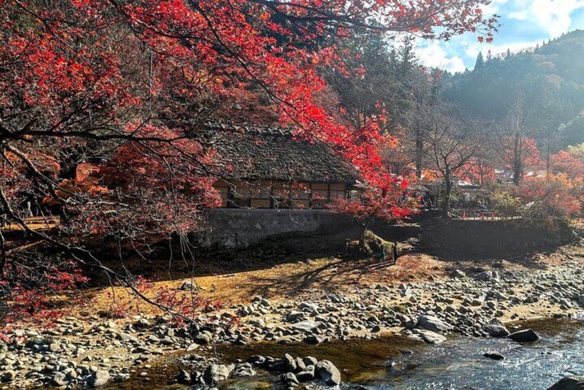 Nagoya: all-inclusive car tour to Korankei valley 2