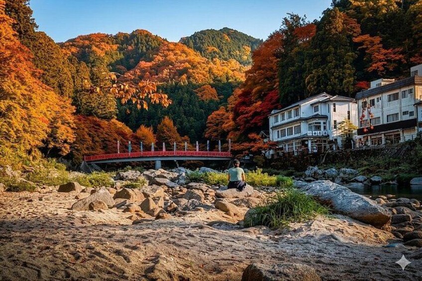 Nagoya: all-inclusive car tour to Korankei valley 1
