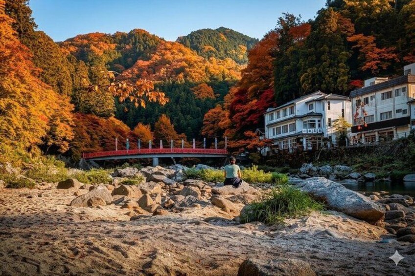 Nagoya: all-inclusive car tour to Korankei valley 1