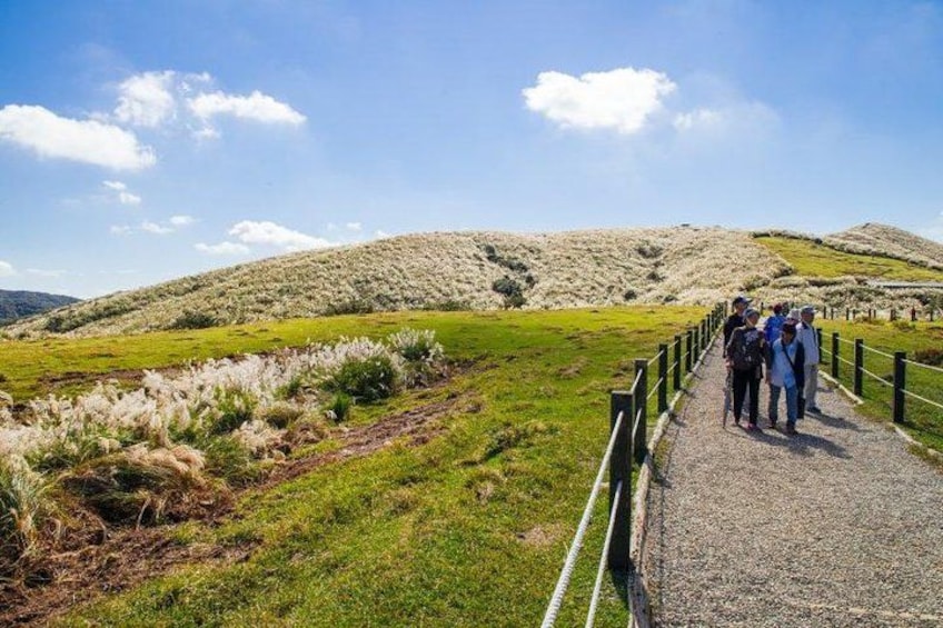 Een groep mensen loopt over een grindpad in een heuvelachtig landschap met grasvelden en een heldere lucht. 2