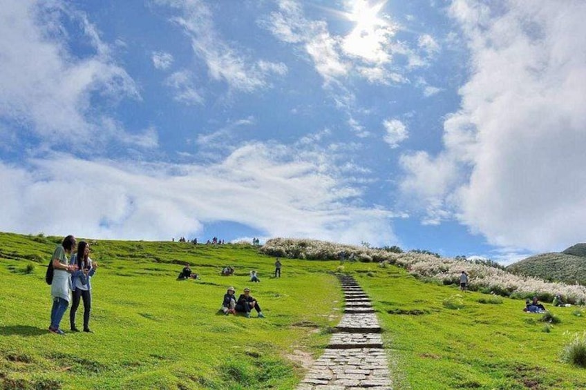 Yangmingshan Hiking Tour 3
