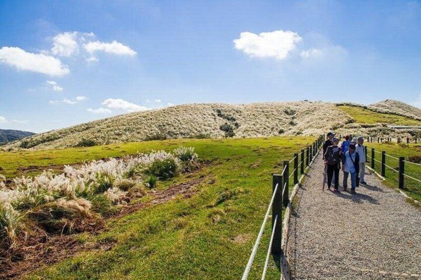 Yangmingshan Hiking Tour 3