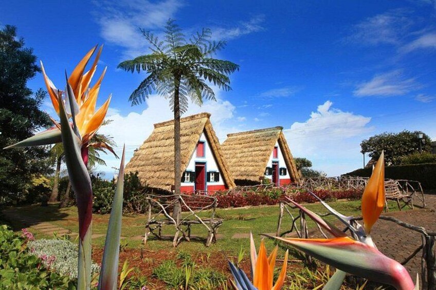 Thatched-roof huts with red doors and white walls, surrounded by tropical vegetation and a clear blue sky. 2