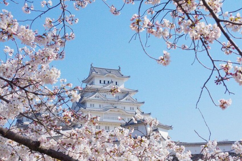 Hiroshima Castle 2