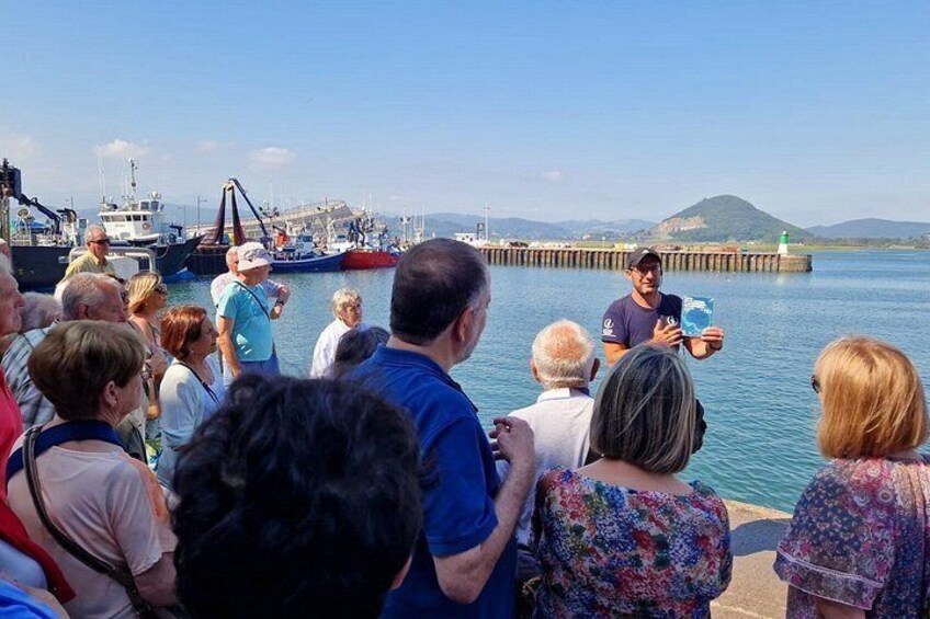 Tour of the Santoña marinera and its fishing port with tasting 2