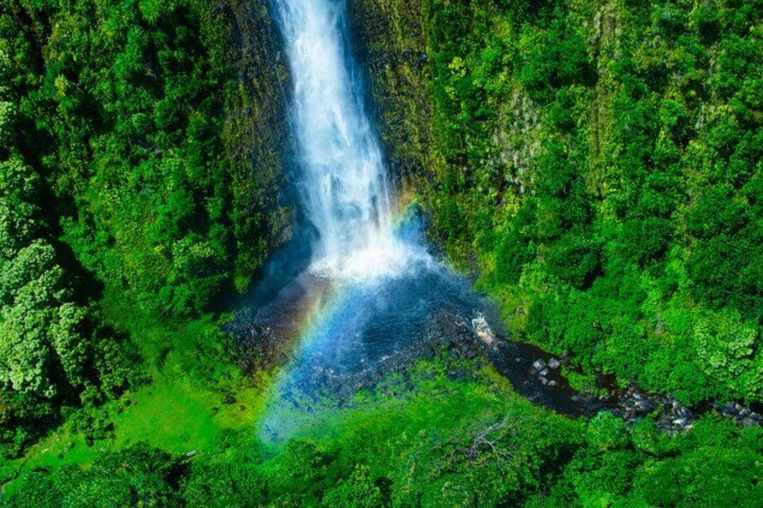 A waterfall surrounded by lush green forest. 4
