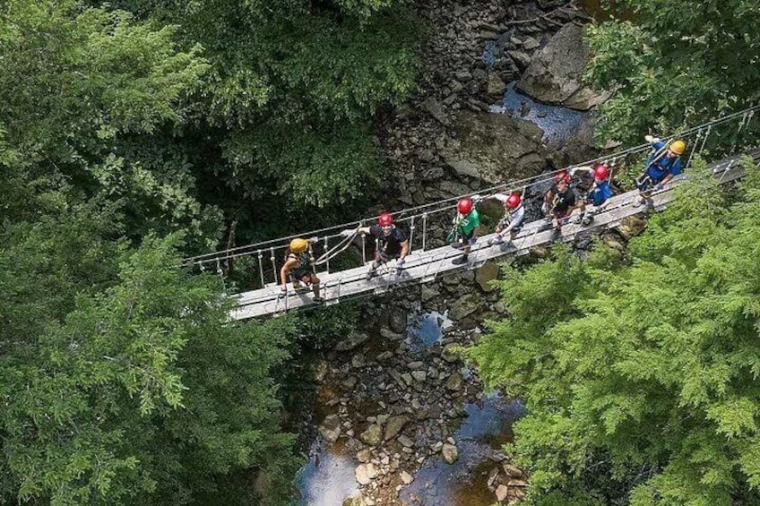 Tree Tops Zip Line Canopy Tour 2