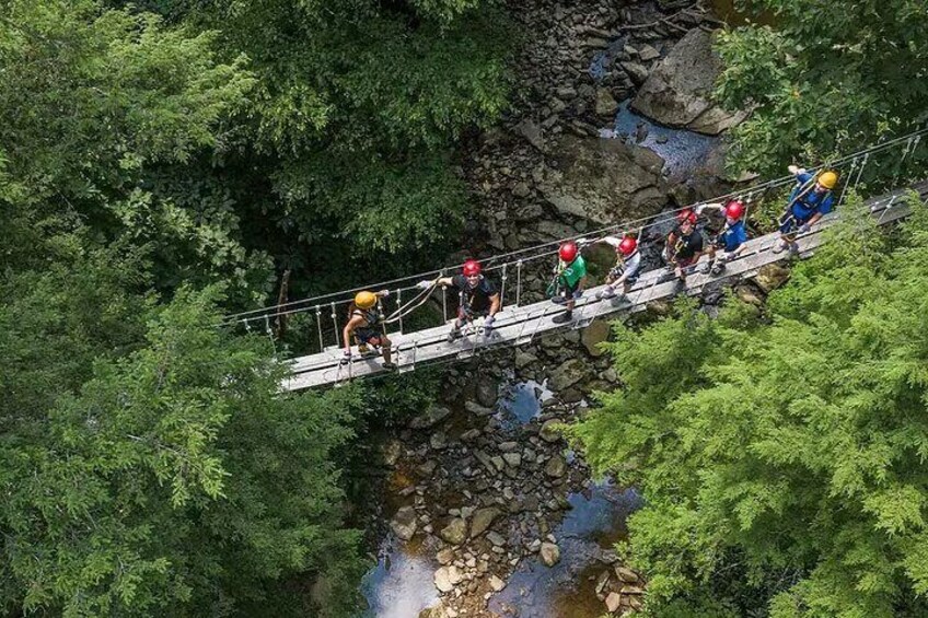 Tree Tops Zip Line Canopy Tour 5