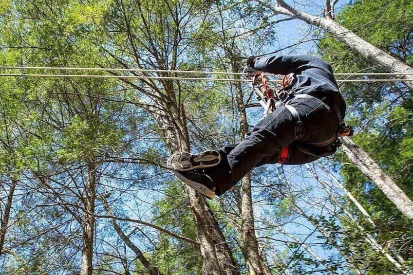 Tree Tops Zip Line Canopy Tour 3