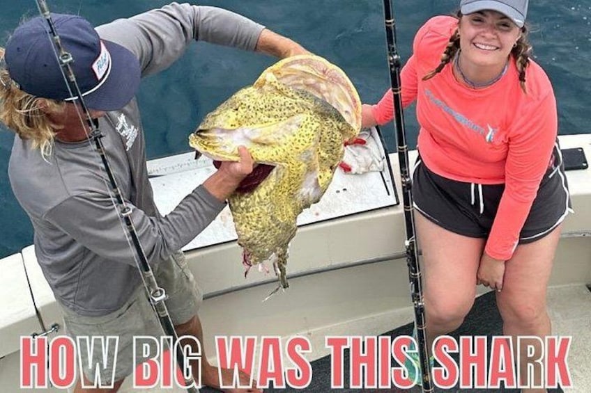 A huge Goliath… with a shark-sized bite! How big do you think the shark was? 3