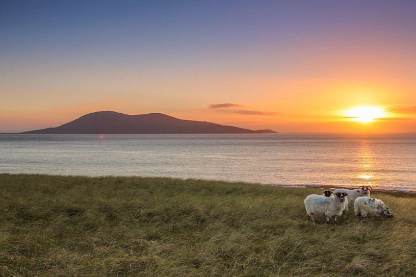 A sunset over a body of water with a grassy foreground and a distant mountain. 5