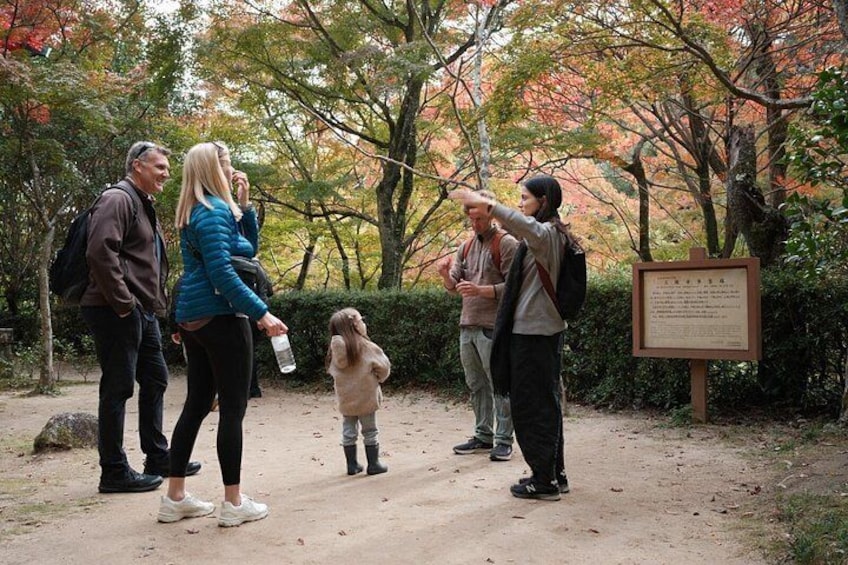 Un groupe de personnes se promène sur un sentier de terre dans un parc où les arbres arborent les couleurs de l’automne. 1