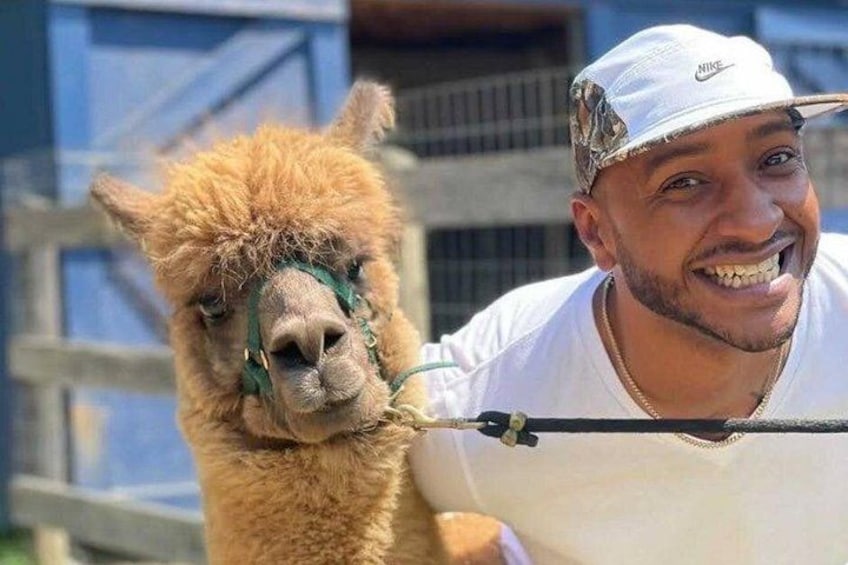 A person holding a llama. 2