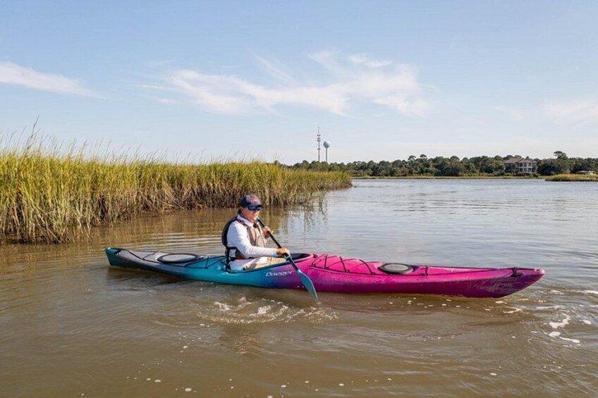 Dolphin Kayak Tour on Folly Beach 4