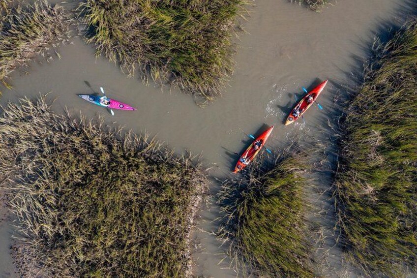 Dolphin Kayak Tour on Folly Beach 1