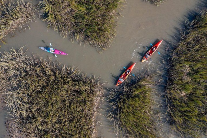 Dolphin Kayak Tour on Folly Beach 1