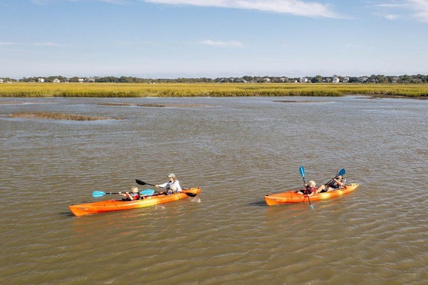 Dolphin Kayak Tour on Folly Beach 3