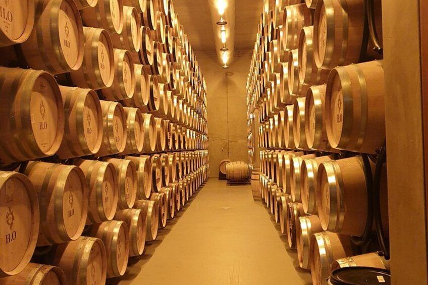 Private Tour of Douro Valley from Porto & Vila Nova de Gaia 4