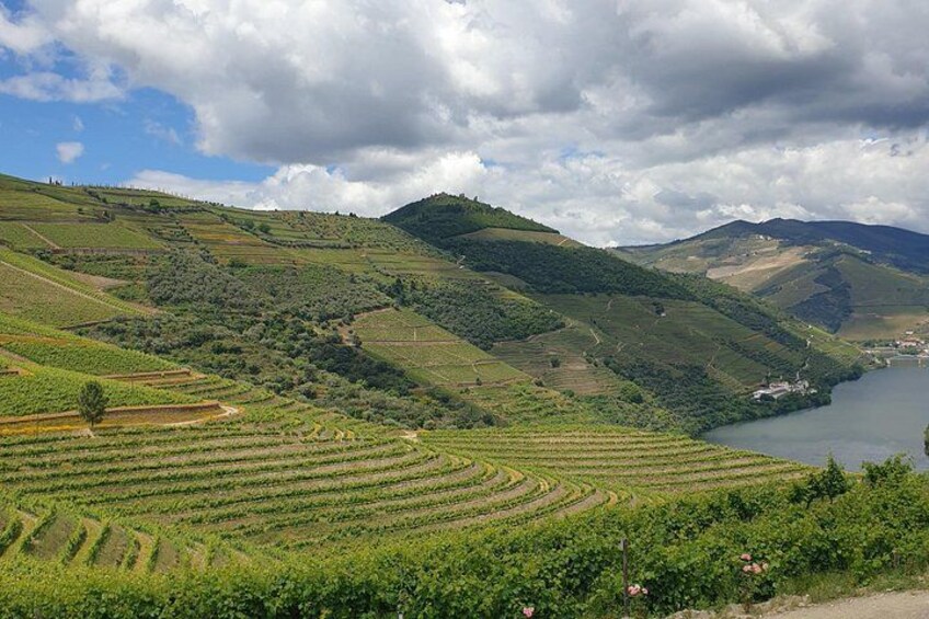 Private Tour of Douro Valley from Porto & Vila Nova de Gaia 1