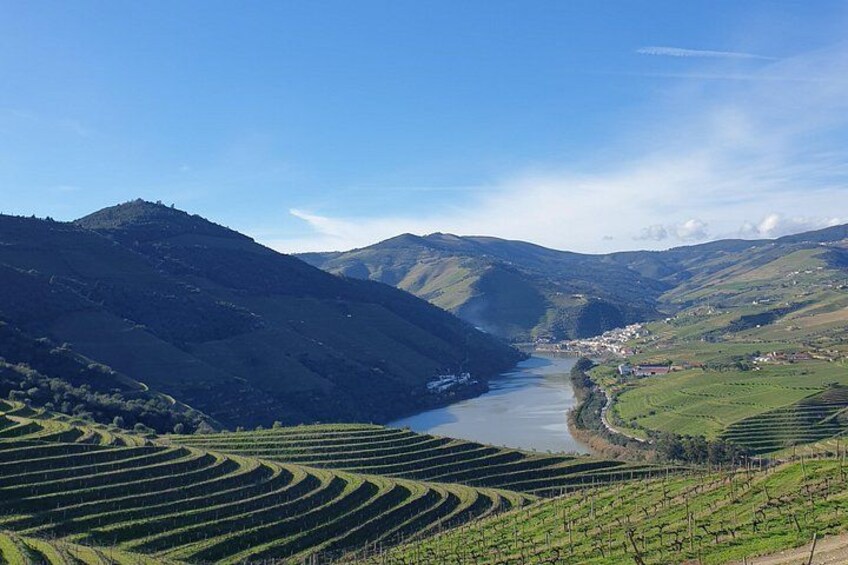 Private Tour of Douro Valley from Porto & Vila Nova de Gaia 3