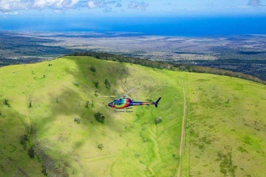 Explore the verdant trails of the Pu'u Wa'awa'a Forest Reserve 3