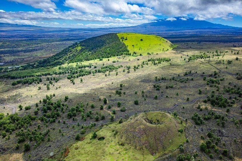 The lush beauty of Pu'u Wa'awa'a Forest Reserve 4
