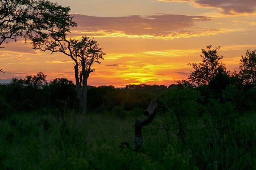 Solnedgang over et savannelandskab med en giraf i forgrunden. 3