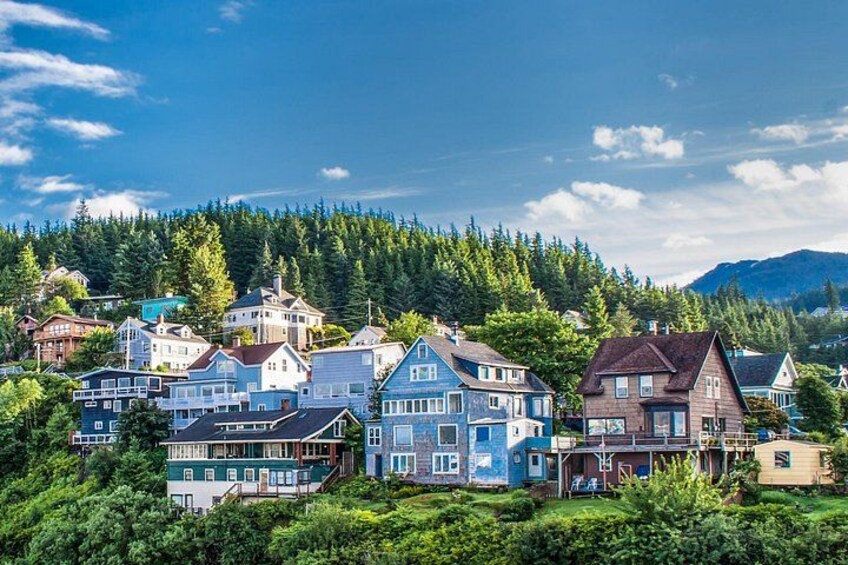 Private Tour Ketchikan City Totems & Wildlife 4