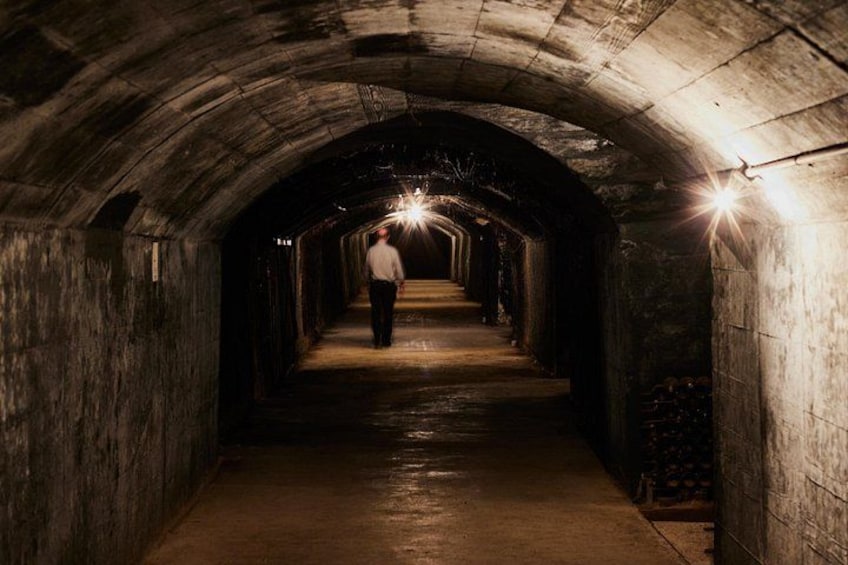 A person walking down a dimly lit tunnel with arched ceilings and a wet floor. 1
