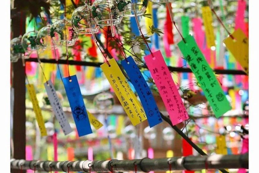 Colorful paper tags hanging from a tree. 4