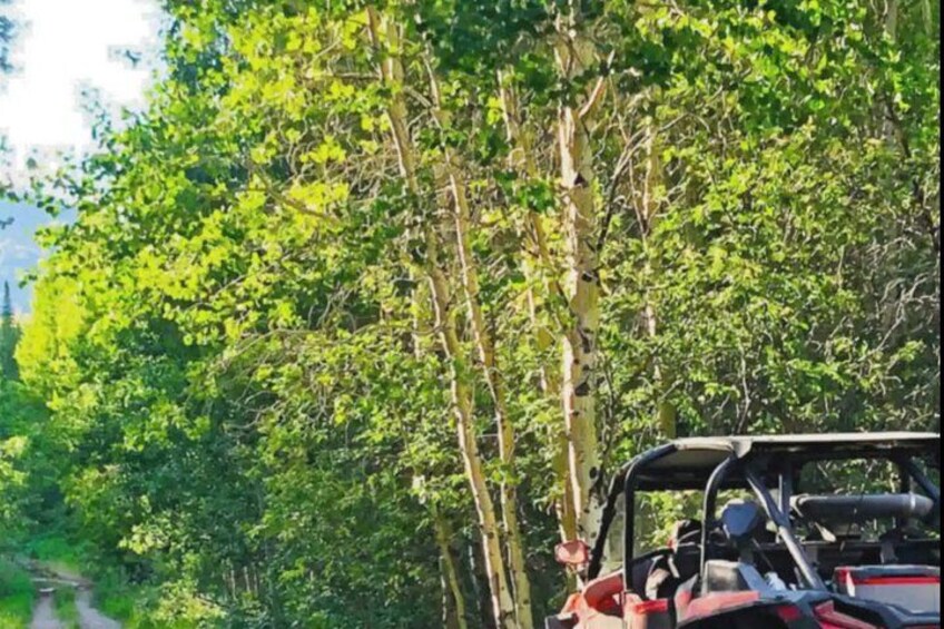 UTV Tour of Big Springs, Flats, and Sawtell Peak 2