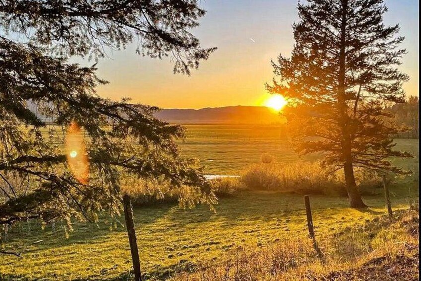 A sunset over a grassy field with trees and a fence. 4