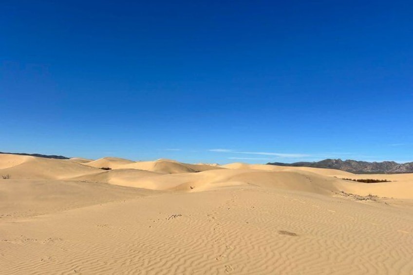 Semi Gobi / Kharkorum overnight trip (nomadic family stay) 5