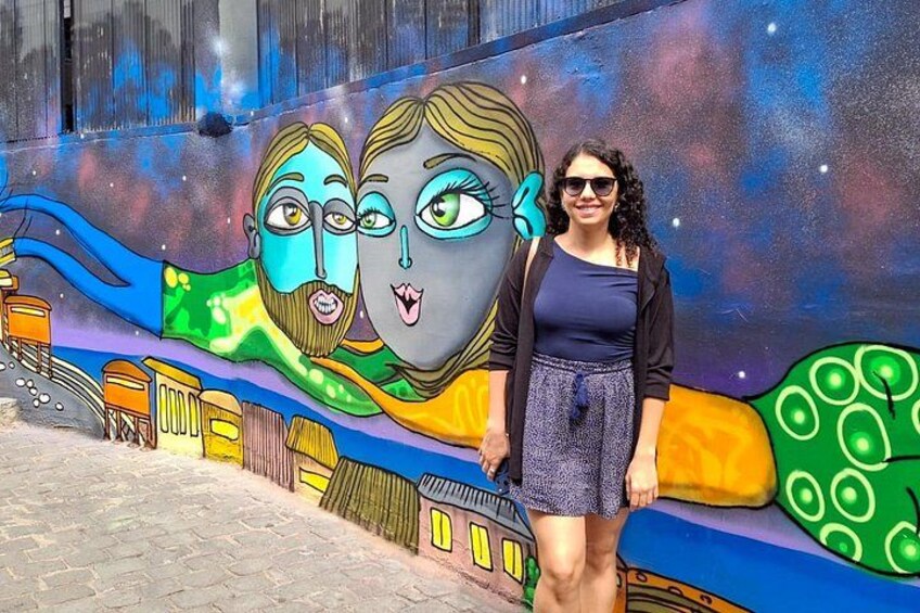 Santiago: Valparaiso, Viña del Mar & Casablanca Wine Tour 3